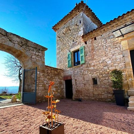 Domaine De Lejos - Portes D'Albi Lamillarié 외부 사진