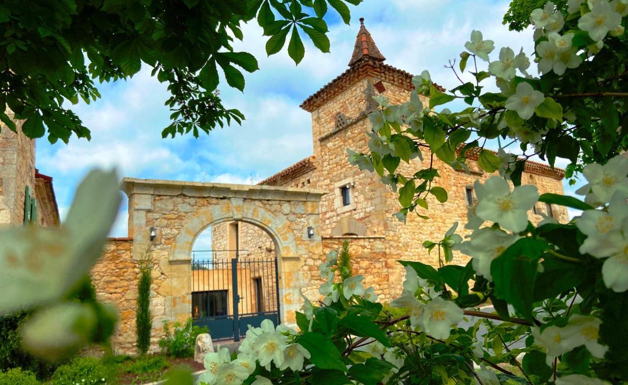Domaine De Lejos - Portes D'Albi Lamillarié 외부 사진