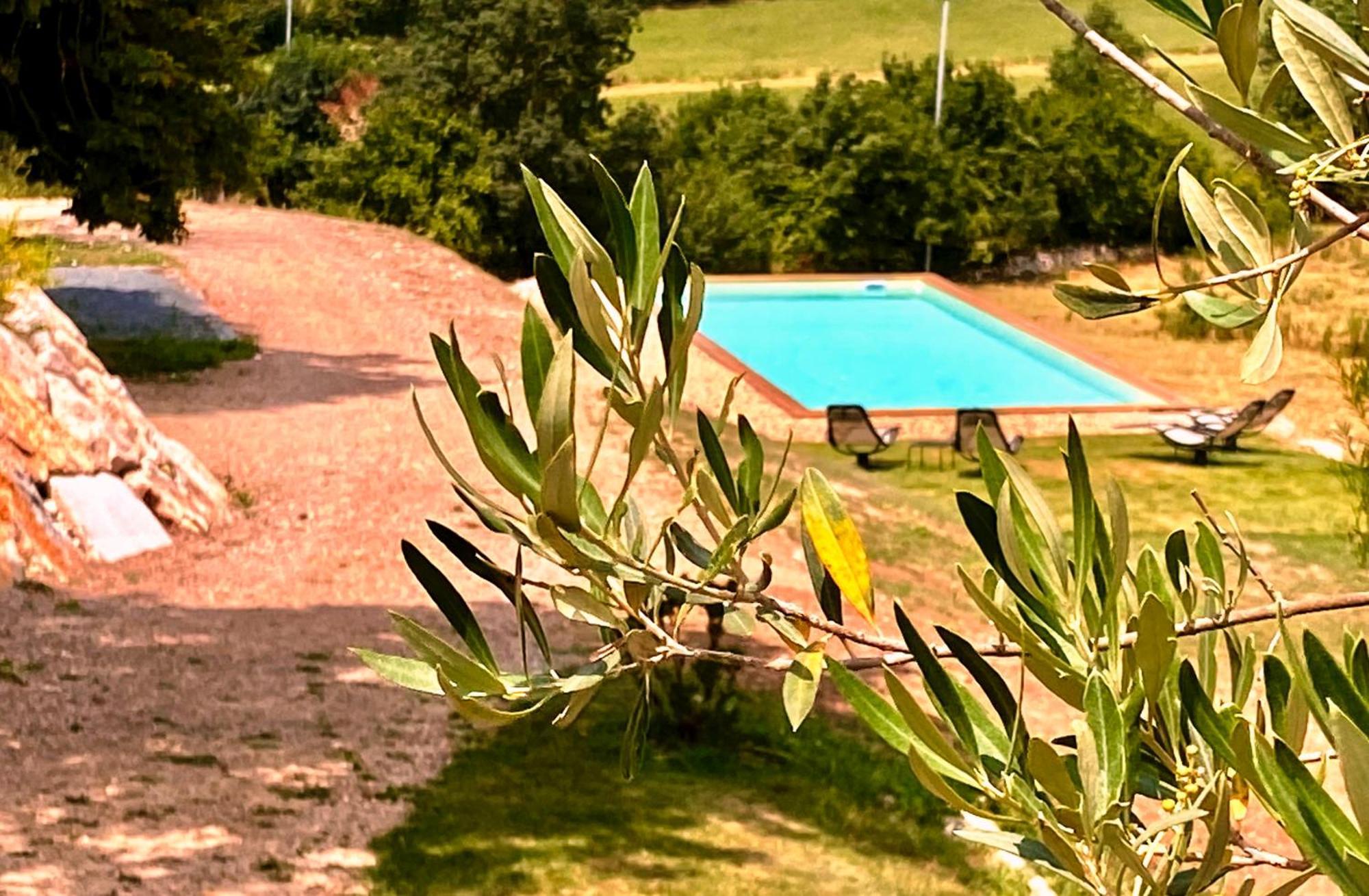 Domaine De Lejos - Portes D'Albi Lamillarié 외부 사진